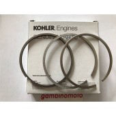SEGMENTI MOTORE RUGGERINI MD190 STANDARD