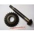 COPPIA CONICA MOTOZAPPA SEP 125 PIGNONE 8 DENTI CORONA 23 DENTI