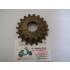 RUOTA LIBERA PIGNONE BICI BICICLETTA 3 VELOCITA Z 16 18 20 DENTI MARCA REGINA