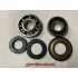 KIT REVISIONE ALBERO MOTORE COMPLETO DI PARAOLI PER PIAGGIO APE MP 600/MP501/550