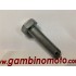 SPINA TIMONE DIAMETRO MM 12 MOTOZAPPA EUROGREEN E572 -73-83 PASBO