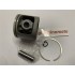 BRUMAR PISTONE COMPLETO ALPINA - CASTOR - CASTELGARDEN - GGP MOTOSEGHE 540 tipo nuovo 550 tipo nuovo 600 650 660  Ø 47 decompressore D.Spinotto 10  R.O. 8540500