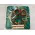 KIT SMERIGLIO MOTORE SLANZI DVA 1030-DVA1550 DIAMETRO 86,00  MM