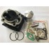 CILINDRO COMPLETO MOTORE MINZEL 100 D.50 KIT GUARNIZIONI MOTORE + CANDELA INCLUSA