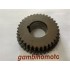 INGRANAGGIO FISSO MOTOZAPPA PASBO MODELLO  Z34-Z38