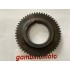 INGRANAGGIO ALBERO MOTORE ZANETTI YANMAR - RAMNAY - KAMA - CM 9 CAVALLI