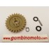 INGRANAGGIO POMPA ACQUA  YAMAHA MAJESTY 250  96>03 // YP R X-MAX 250 05>09 -VP X-CITY 250 07>08 // XC VERCITY 300 03>06 MBK XC KILIBRE 300 03> // YP SKYLINER 250 00>03