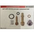 BRUMAR MEMBRANA/KIT RIPARAZIONE BRIGGS & STRATTON  KIT VITE REGOLAZIONE CARBURATORE   R.O. 391233