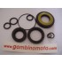 SERIE PARAOLI MOTORE V.50-90-125 PRIMAVERA ET3 PK50-125