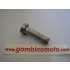 SPINA TIMONE DIAMETRO MM12 LUNGHEZZA UTILE MM43 CON FORO 