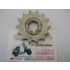 PIGNONE PER CICLOMOTORE MODELLO 1090 DENTI 14