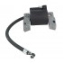  BOBINA ACCENSIONE BRIGGS & STRATTON 3-3,5-4-5 HP ALBERO ORIZZONTALE E VERTICALE  