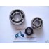 CUSCINETTI DI BANCO + PARAOLIO SCOOTER PIAGGIO 50 4T